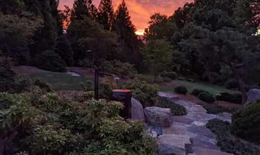 I WILL MAKE A GARDEN…_featured_image
