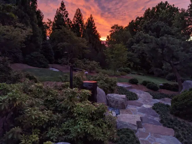 I WILL MAKE A GARDEN…_featured_image