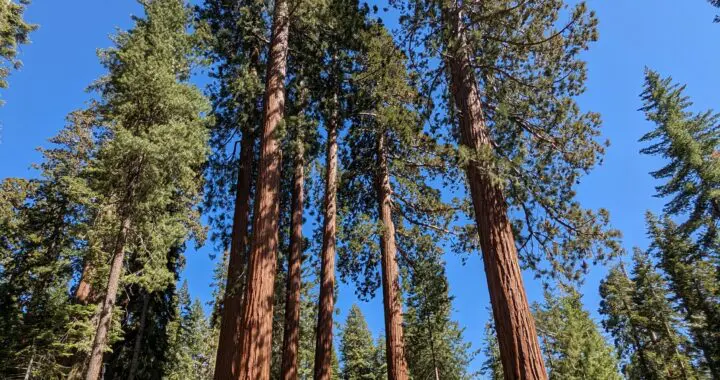 Learning From The Best 291857998 7965577790126658 2857840373099724801 N