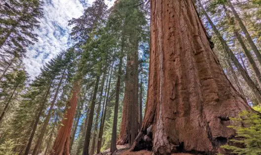 A HIKE IN YOSEMITE_featured_image
