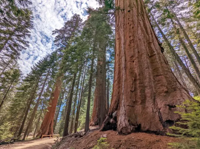 A HIKE IN YOSEMITE_featured_image