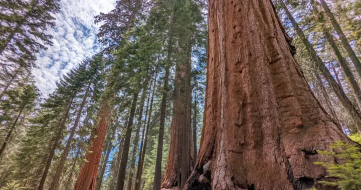 A Hike In Yosemite 292061363 7965470580137379 6172181493596018611 N
