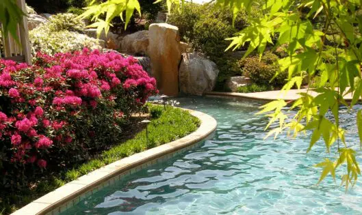 GARDENS ARE FOR SHARING!_featured_image