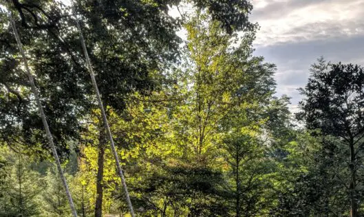 IN SUMMER TIME_featured_image