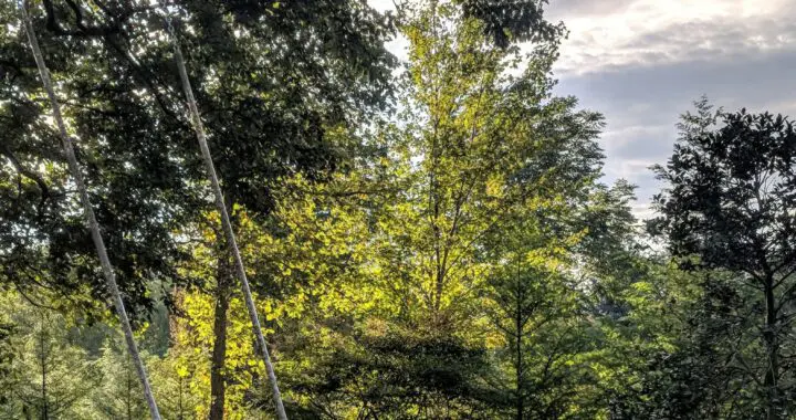 In Summer Time 291886114 7973563725994731 2049588811686592932 N