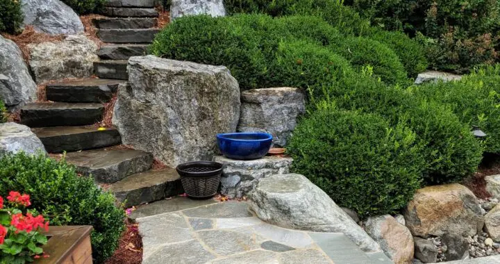 Reasons To Stay: Transforming A Back Yard Into A Garden Oasis With Regular Maintenance 2 Reasons To Stay: Transforming A Back Yard Into A Garden Oasis With Regular Maintenance 292441260 7995284803822623 7665662032400927150 N