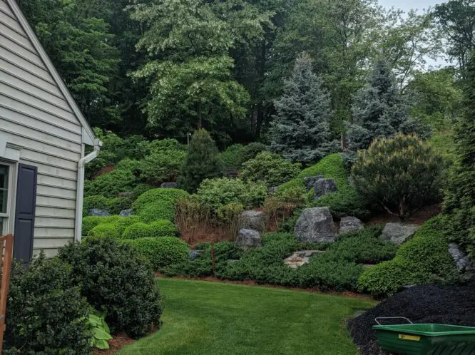 REASONS TO STAY: Transforming a Back Yard into a Garden Oasis with Ingenuity_featured_image