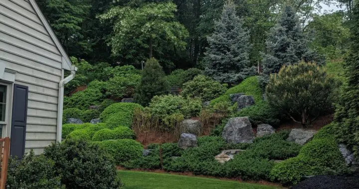 Reasons To Stay: Transforming A Back Yard Into A Garden Oasis With Ingenuity 4 Reasons To Stay: Transforming A Back Yard Into A Garden Oasis With Ingenuity 293067297 7995107073840396 5395458663718036202 N