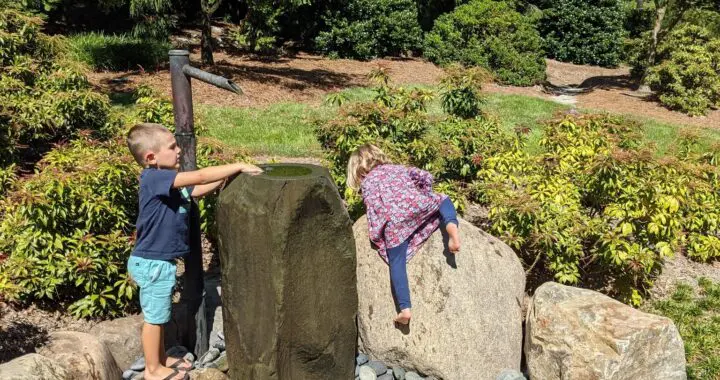 September Afternoon Garden Views 294221256 8032533830097720 8924196042991687574 N