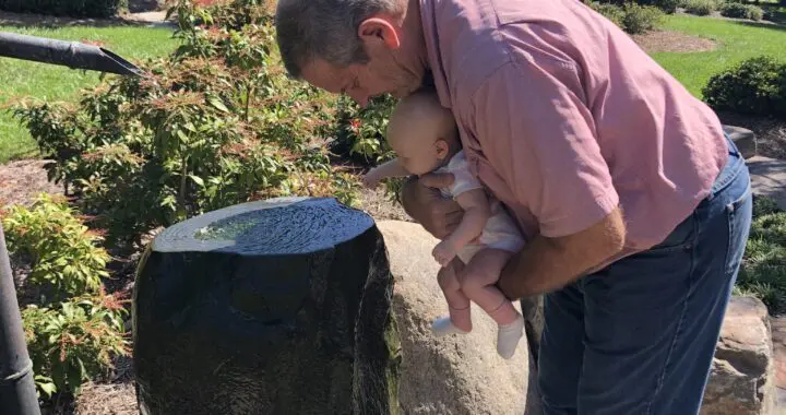 Gardens Are For Children . . . 296864432 8096947430323026 4929982506212310956 N