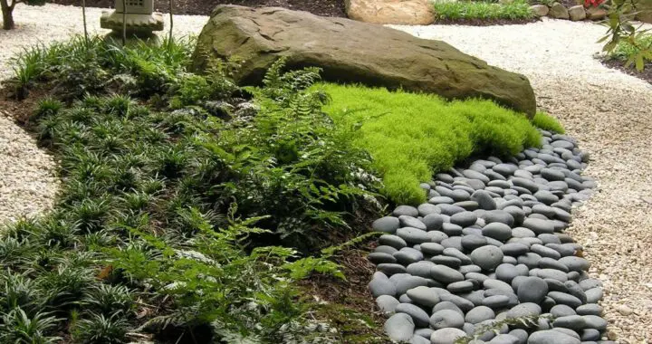 Loose Stone, Bushes, And A Large Boulder Accenting A Garden Walkway