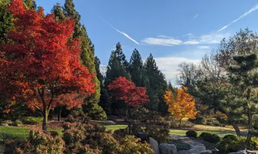 THERE IS NO SEASON…_featured_image