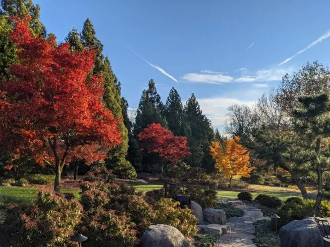 THERE IS NO SEASON…_featured_image