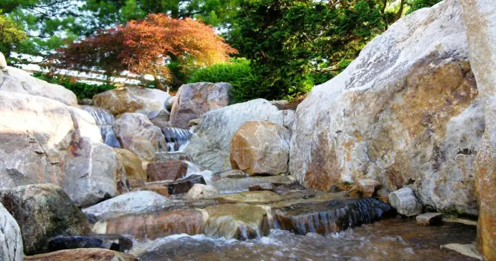 Garden Harmony 302034532 8228943130456788 8917868422316218993 N