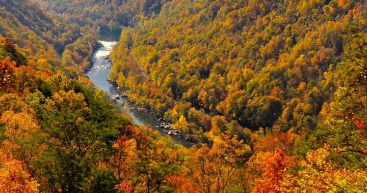 October Radiance 311142061 8428953987122367 6988945700597438722 N