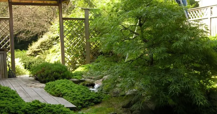 A Garden To Tend And Nurture . . . . 292281255 7995762217108215 3472484663718897143 N