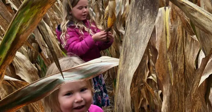 November Wind 4 November Wind 305385970 8272271346123966 4062408175270775392 N