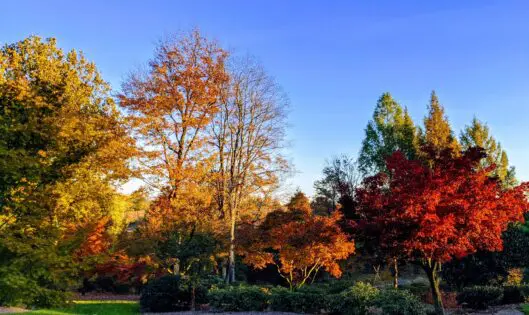 FALL FINALE_featured_image