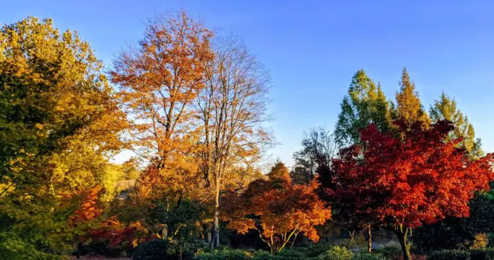 Fall Finale Fall Finale