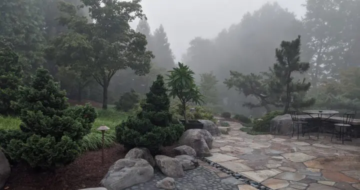 Japanese Gardens - An Composer'S Perspective 297782396 8129341093750326 2397075617285934681 N