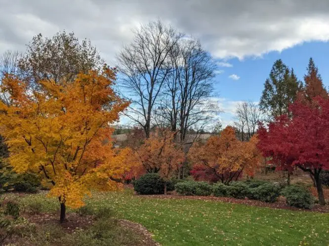 LATE AUTUMN ~ A TRIBUTE_featured_image