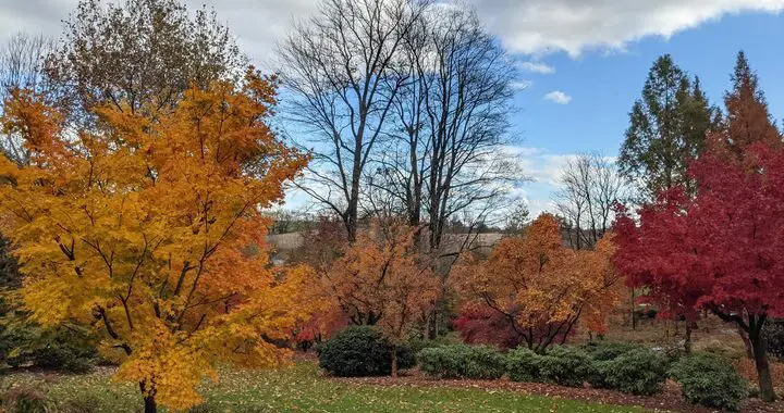 Late Autumn ~ A Tribute 1 Late Autumn ~ A Tribute 305446705 8272604206090680 6962204176689222677 N