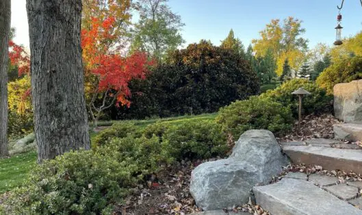 AUTUMN’S SMILE_featured_image