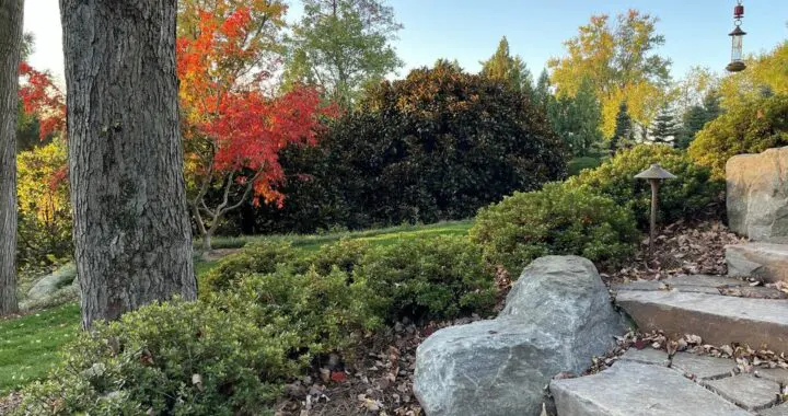 Autumn'S Smile 2 Autumn'S Smile 312616551 8497958860221879 701443104276998580 N