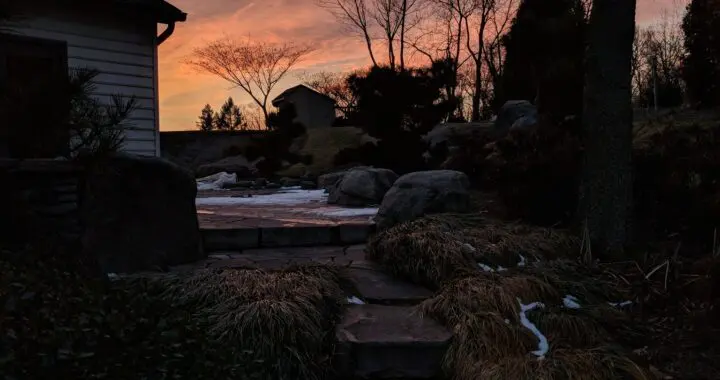 Year'S End 308181134 8497562186928213 4955418314289798077 N