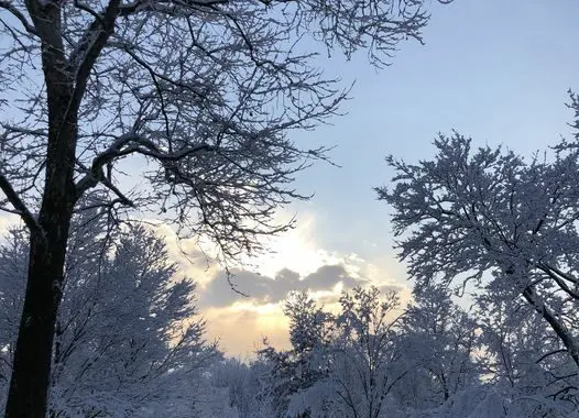 New Year'S Resolution 320384426 839229470687433 4951177880773777156 N