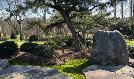 ADDING COLOR TO YOUR GARDEN–EVEN IN WINTER!_featured_image