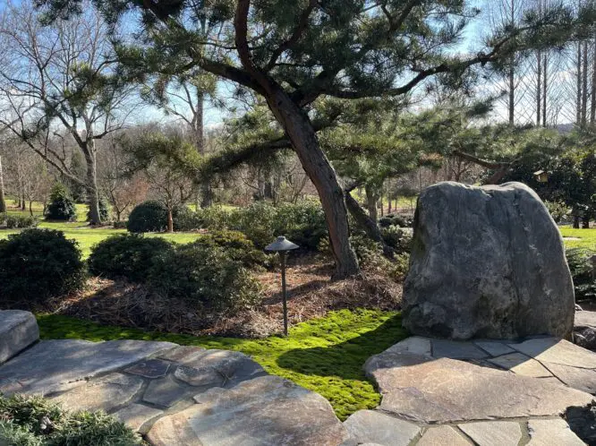 ADDING COLOR TO YOUR GARDEN–EVEN IN WINTER!_featured_image
