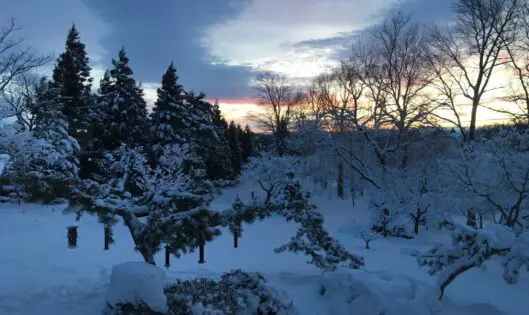 SNOW QUILTS?_featured_image