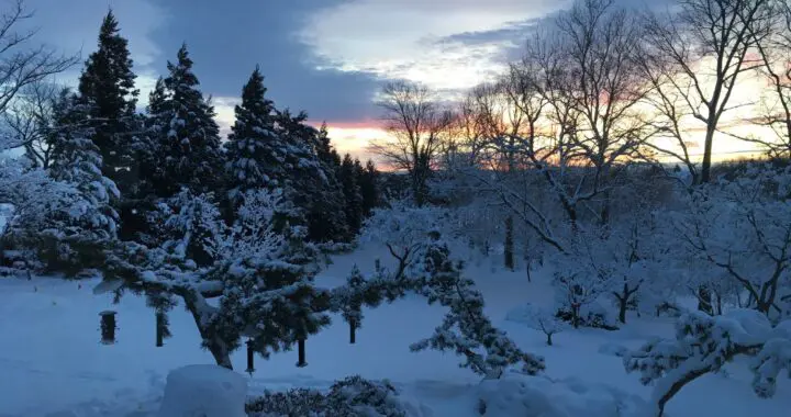 Snow Quilts? 320822390 864701444980514 516435953922826170 N