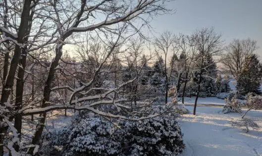 WINTER WONDER_featured_image