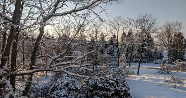 Winter Wonder 320862366 1871394366534766 6858591672006676145 N