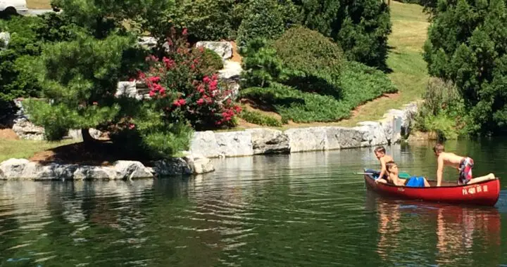 How To Hire A Garden Designer (Part 2) 324673107 713033747055671 6454046093588602411 N