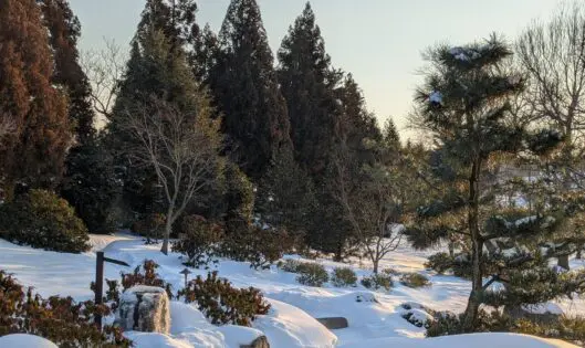 WALKING IN A WINTER WONDERLAND_featured_image