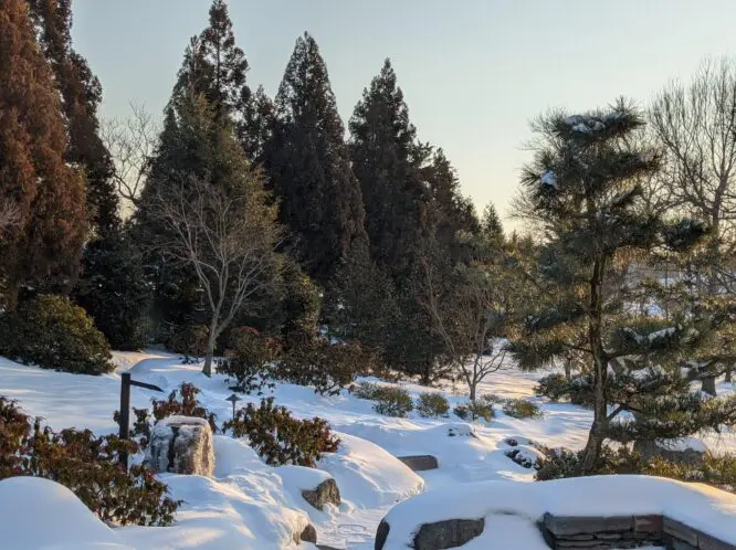 WALKING IN A WINTER WONDERLAND_featured_image