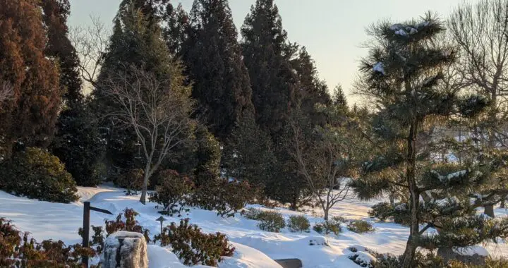 Walking In A Winter Wonderland 320711485 1530575260775611 3132139449189704583 N