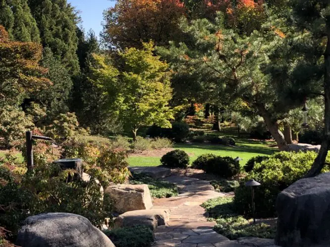 HOW TO HIRE A GARDEN DESIGNER (Part 4)_featured_image