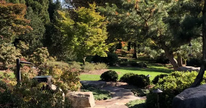 How To Hire A Garden Designer (Part 4) 323379292 671269468025073 8133694435550095352 N