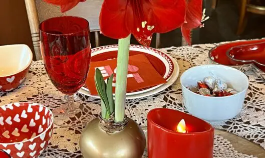 SPREADING LOVE (& A SPLASH OF COLOR) THIS WINTER_featured_image