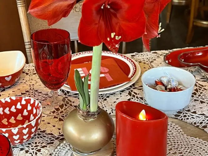 SPREADING LOVE (& A SPLASH OF COLOR) THIS WINTER_featured_image