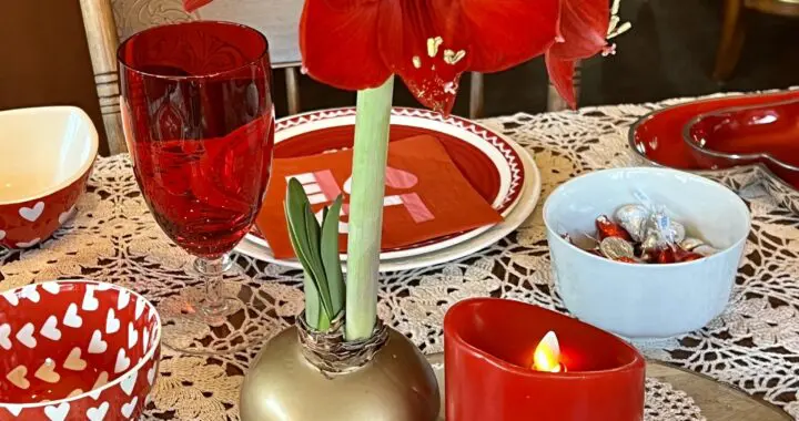 Spreading Love (&Amp; A Splash Of Color) This Winter 12 Spreading Love (&Amp; A Splash Of Color) This Winter 324729371 1319332265303453 5661090335755389412 N