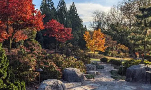 A GARDEN FOR ALL SEASONS_featured_image
