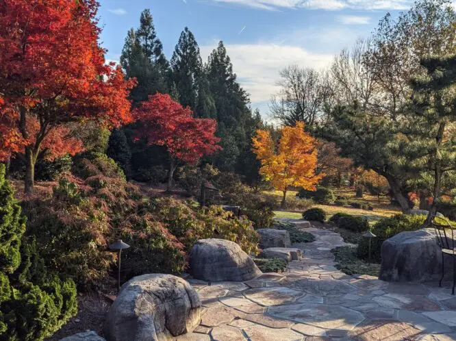 A GARDEN FOR ALL SEASONS_featured_image