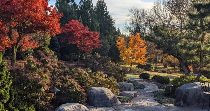 A Garden For All Seasons 324929951 461453179355429 8853809921056768389 N
