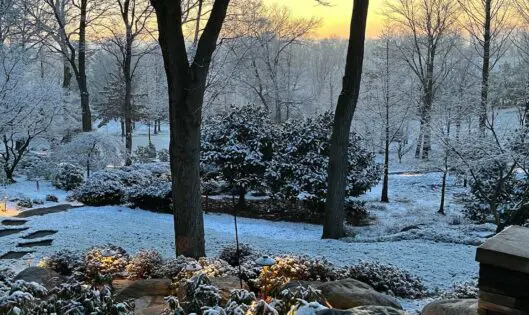 GARDEN VIEWS IN WINTER_featured_image