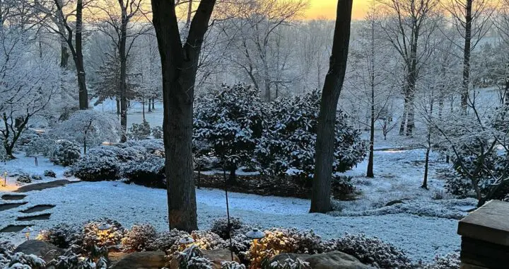 Garden Views In Winter 1 Garden Views In Winter 325141189 736033711373063 5089851006436331891 N